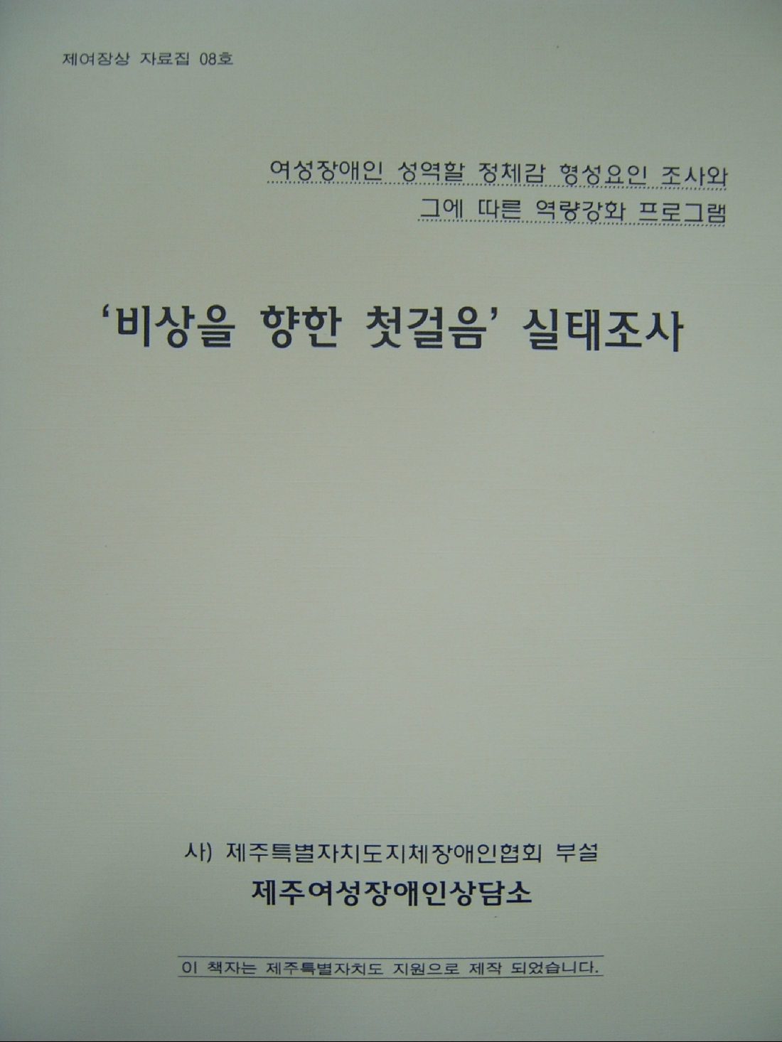 비상을 향한 첫걸음 실태조사